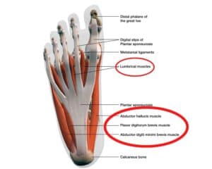 Physical Therapy Exercises for Plantar Fasciitis | PT Time with Tim