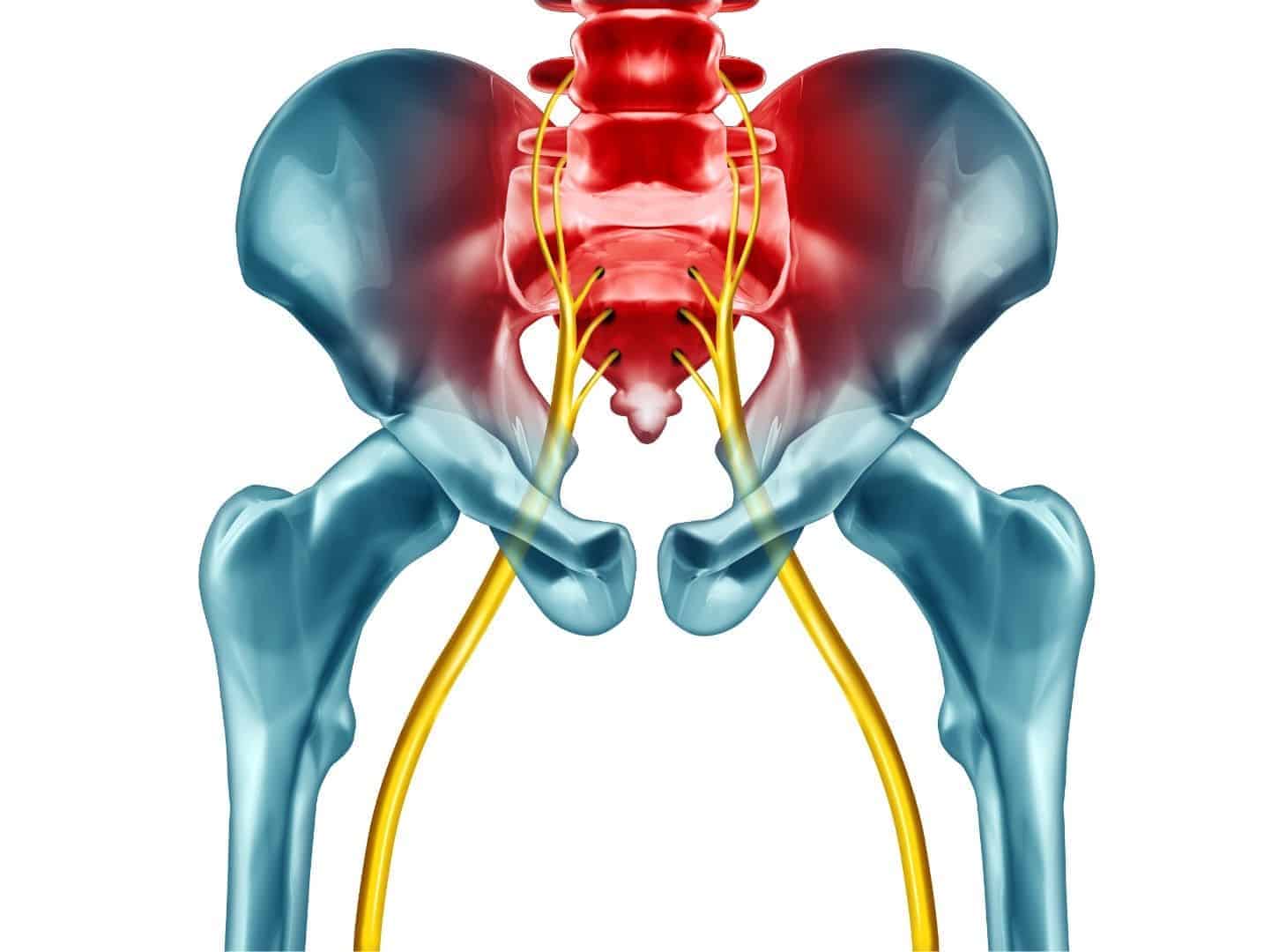 https://pttimewithtim.com/wp-content/uploads/2021/03/Sciatic-Nerve-Anatomy.jpg