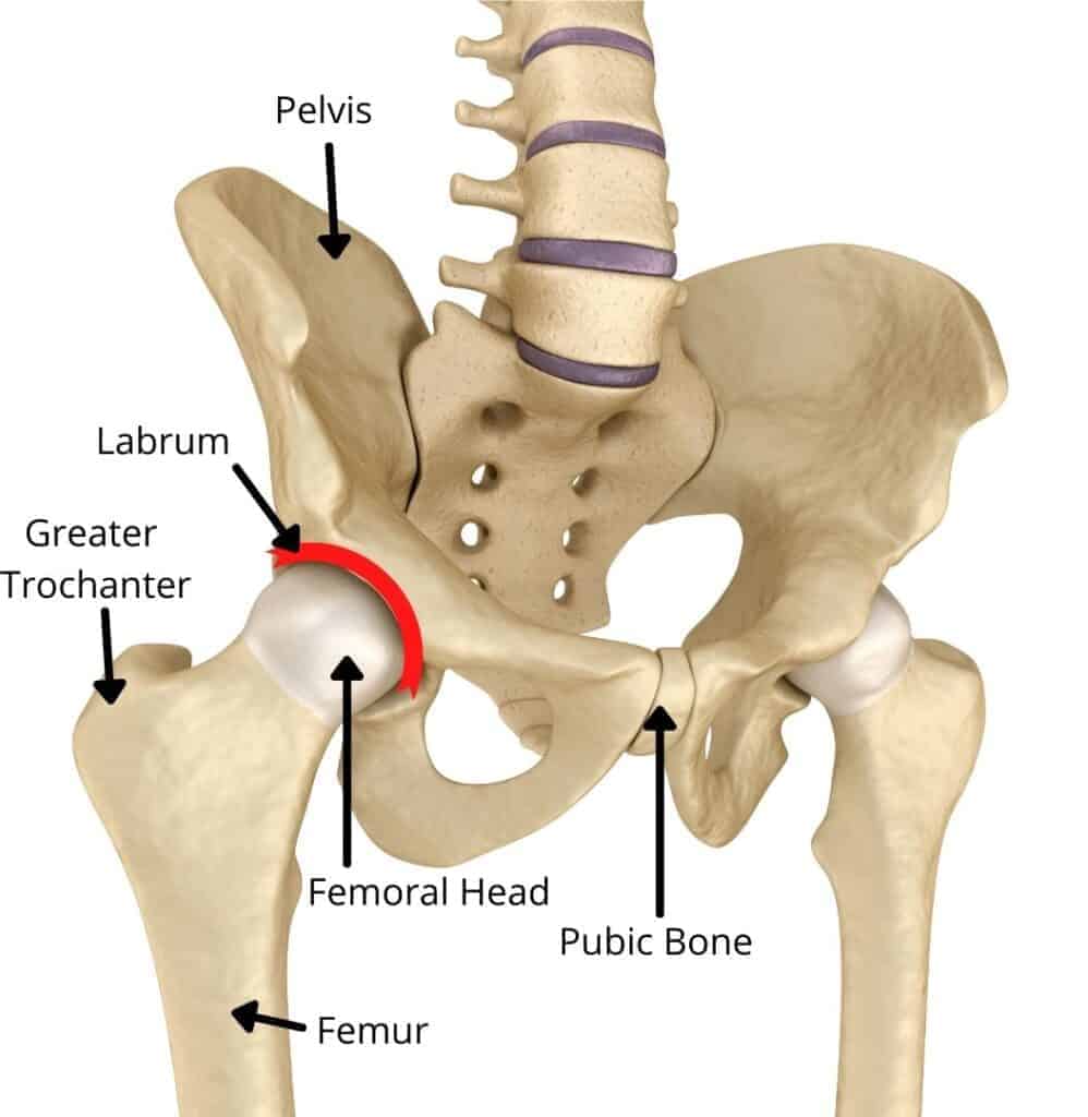 Why does my posterior hip hurt?