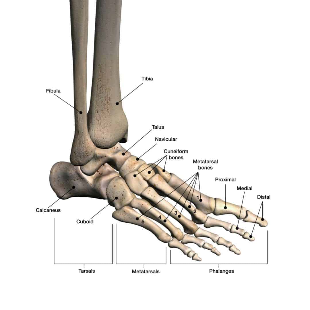 Ankle Sprain Exercises: Tips to a Faster Recovery! | PT Time with Tim